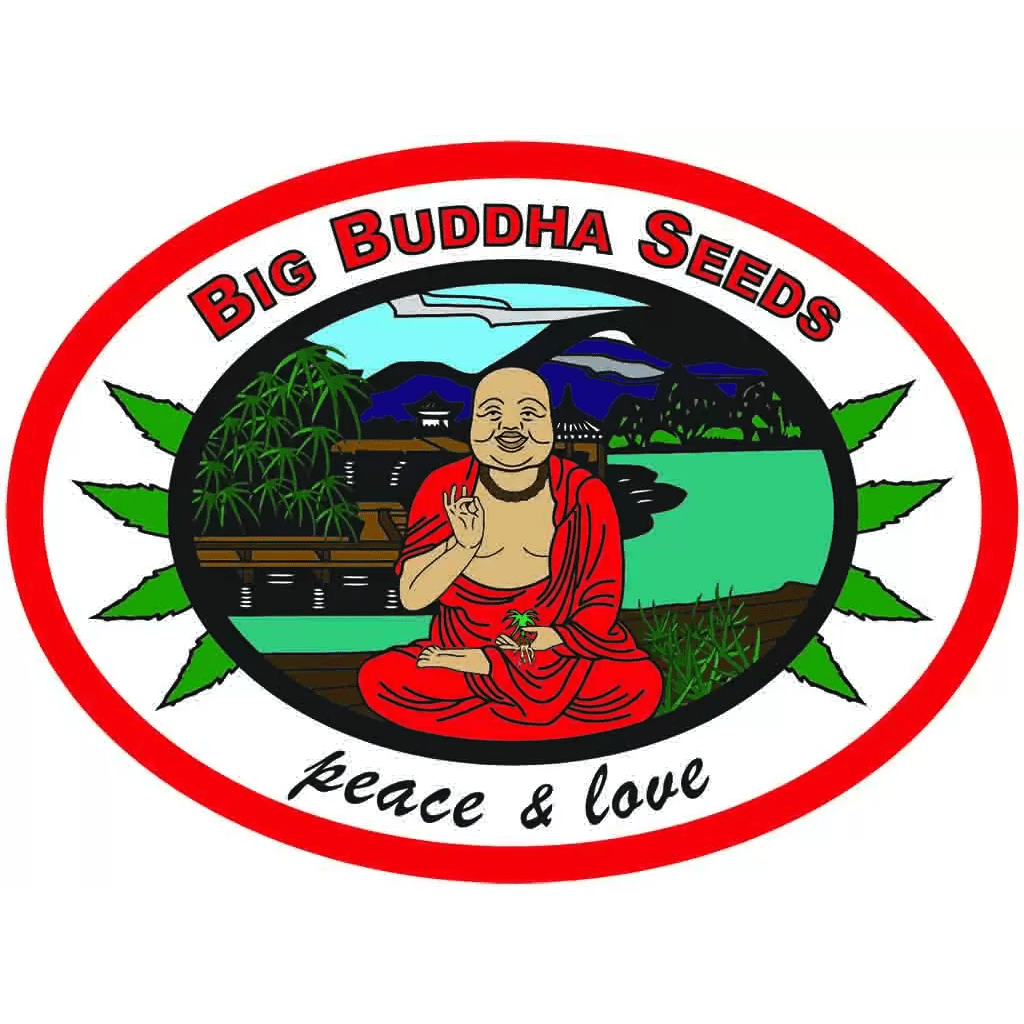 Big Buddha Seeds