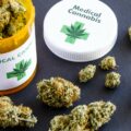 Cannabis light e cannabis medica differenze utilizzi e leggi