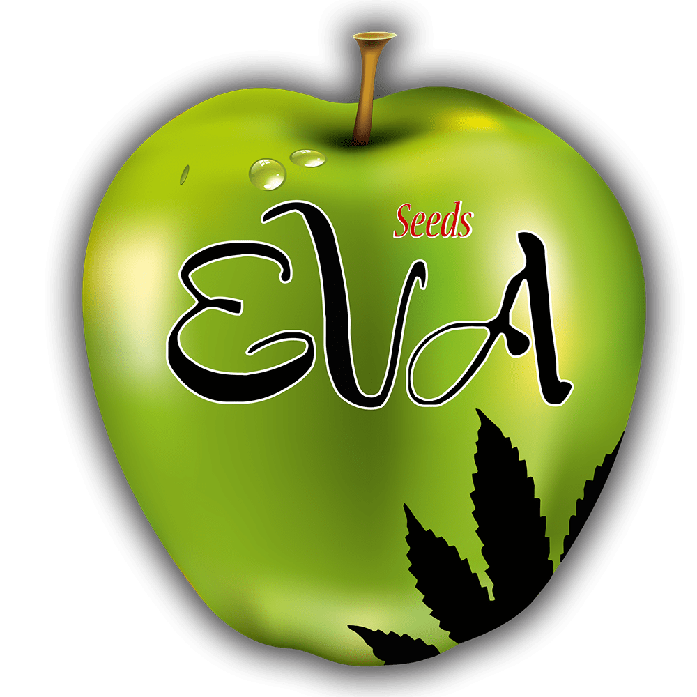 Eva Seeds