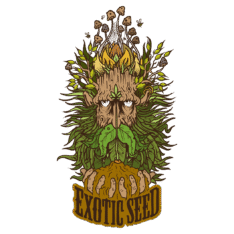 Exotic Seed