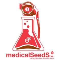 Medical Seeds