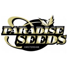 Paradise Seeds