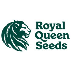 Royal Queen Seeds