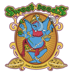 Sweet Seeds