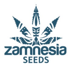 Zamnesia Seeds