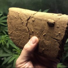 Hash