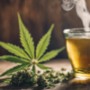 ricetta-te-alla-cannabis-Infusi-Tisane-CBD